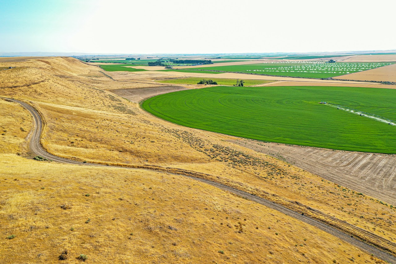 Hale Brothers Farm property picture 27 of 46