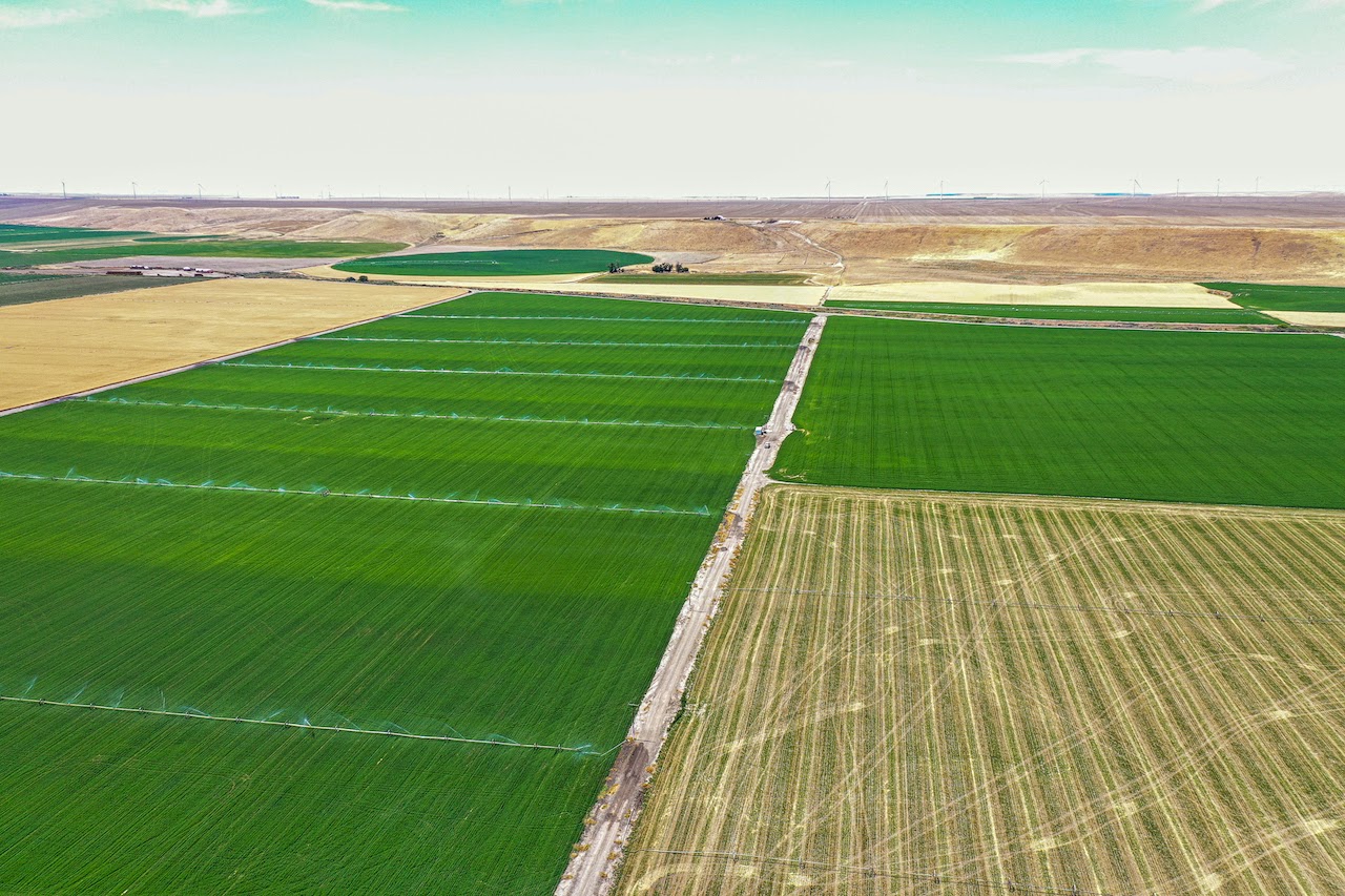 Hale Brothers Farm property picture 31 of 46