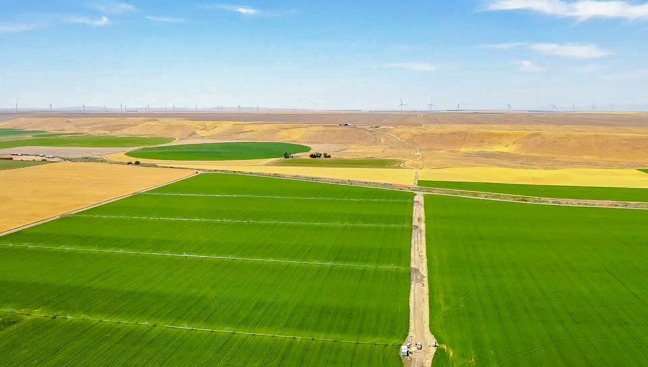 Hale Brothers Farm property picture 10 of 46