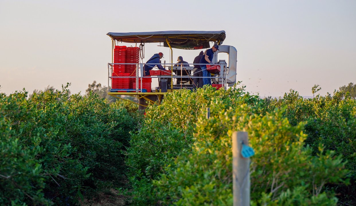 Hale Brothers Farm property picture 5 of 46