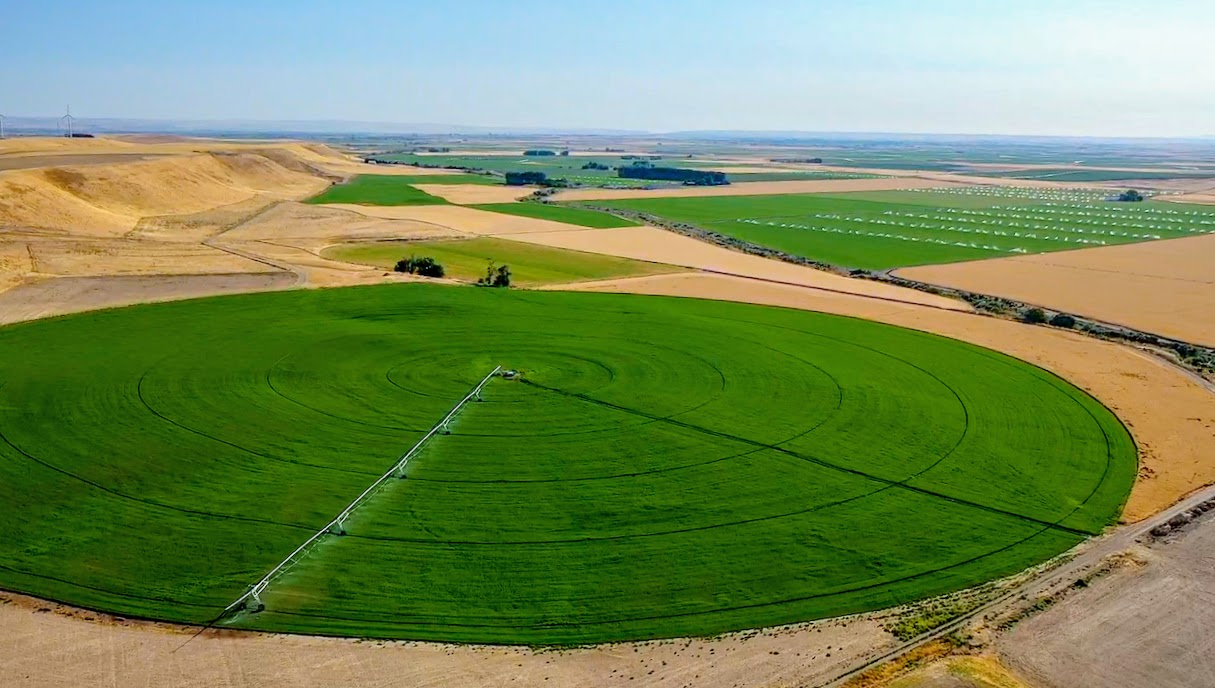 Hale Brothers Farm property picture 32 of 46