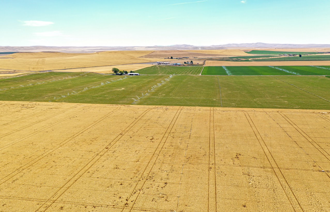 Hale Brothers Farm property picture 29 of 46