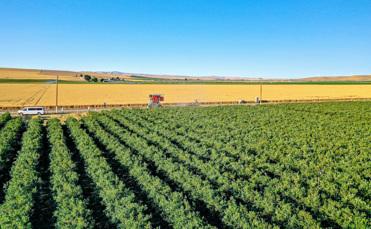 Hale Brothers Farm property picture 42 of 46