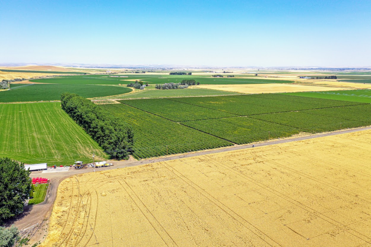 Hale Brothers Farm property picture 7 of 46