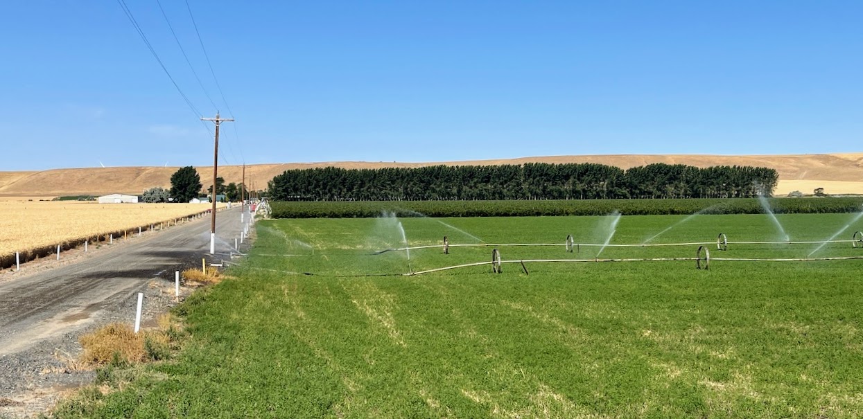 Hale Brothers Farm property picture 30 of 46