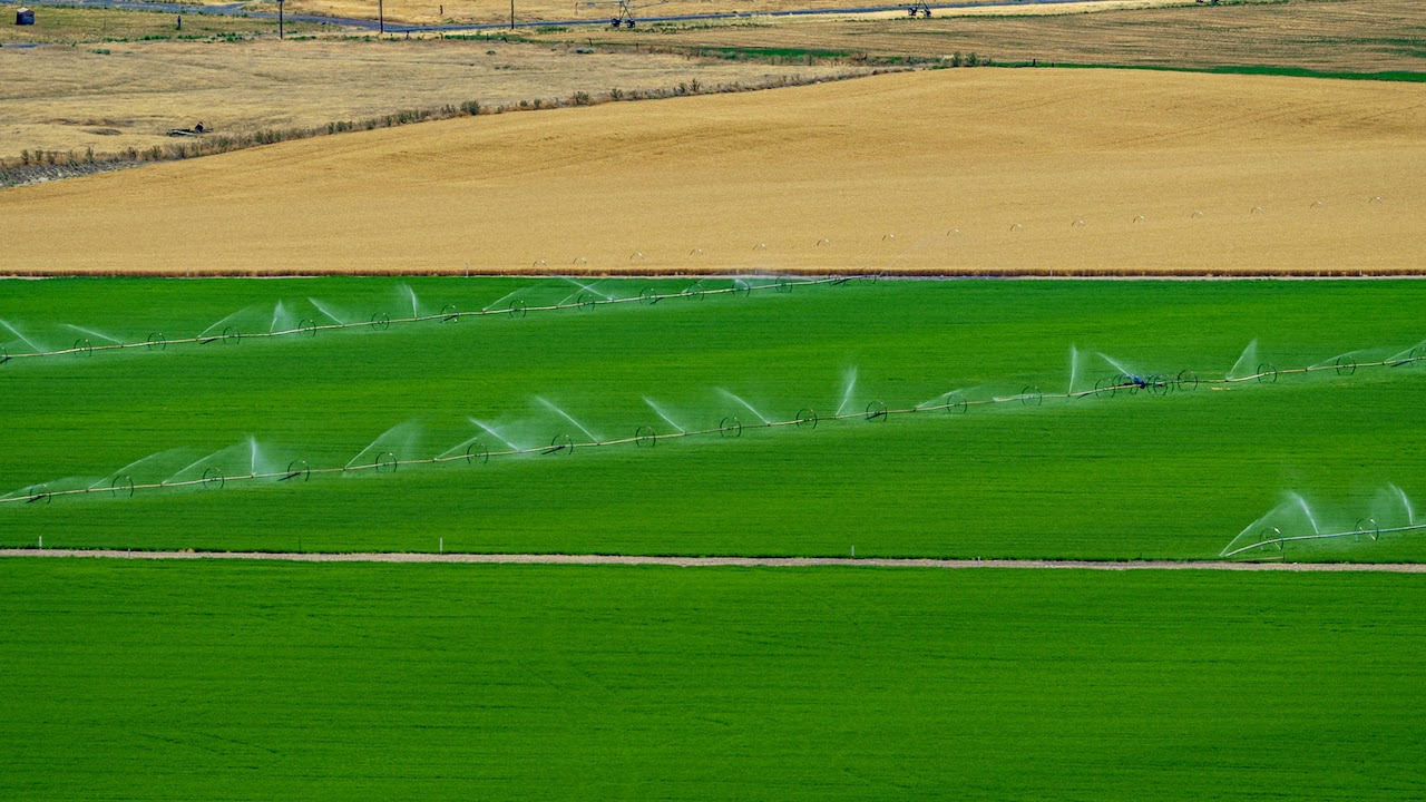 Hale Brothers Farm property picture 38 of 46