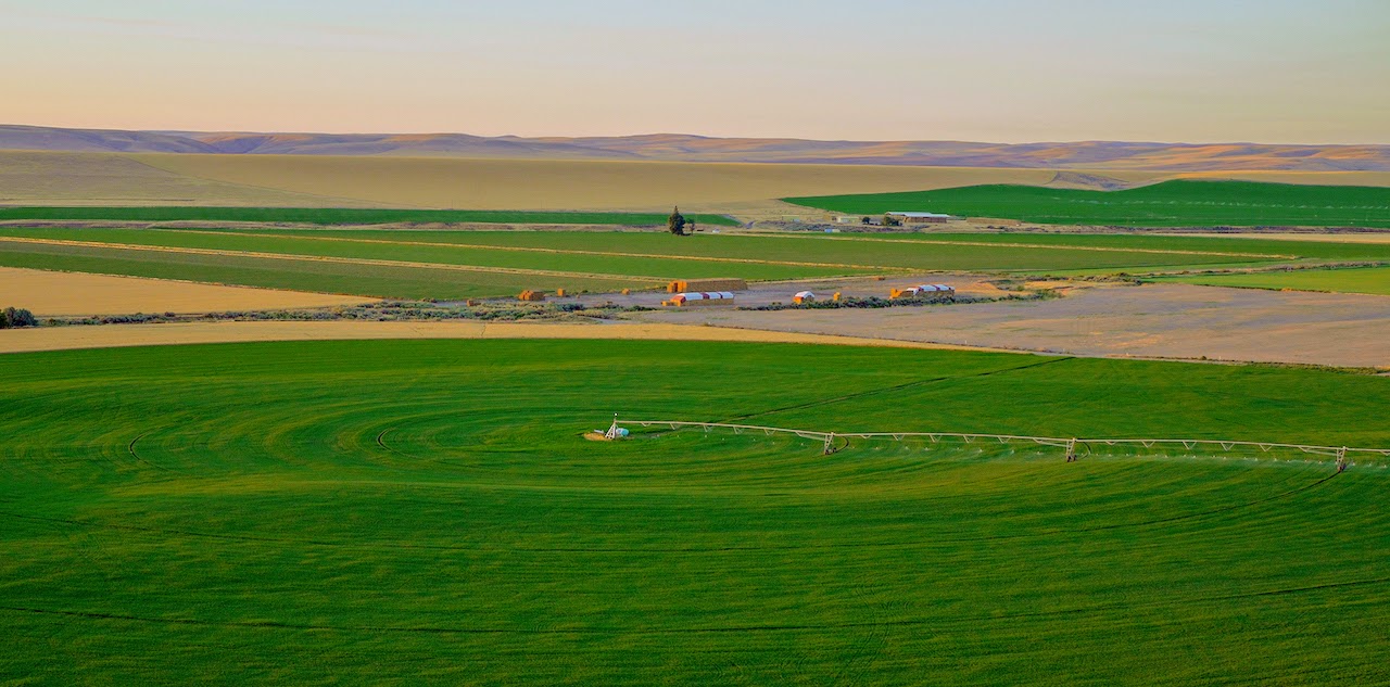 Hale Brothers Farm property picture 33 of 46