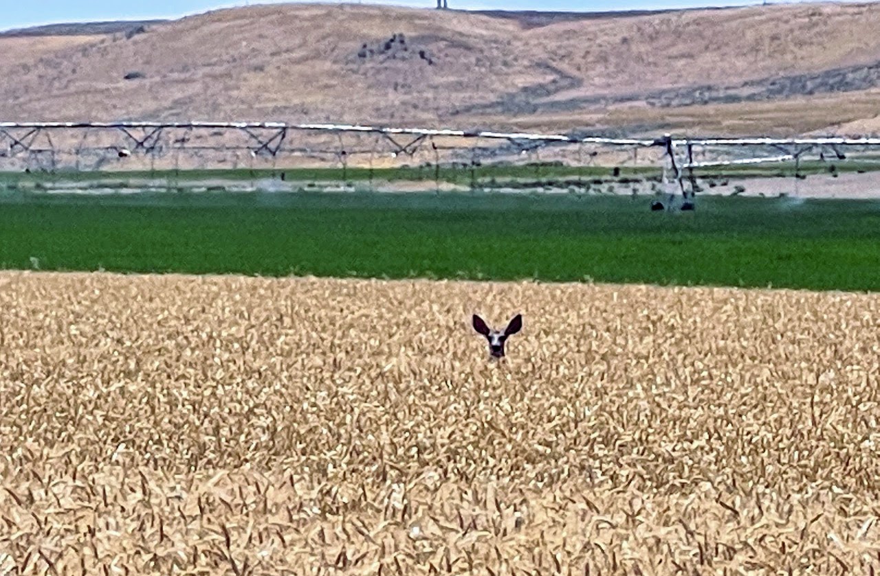 Hale Brothers Farm property picture 26 of 46