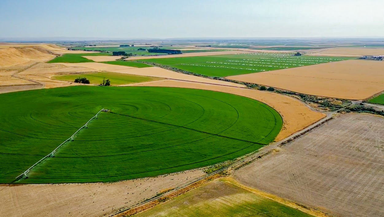 Hale Brothers Farm property picture 8 of 46