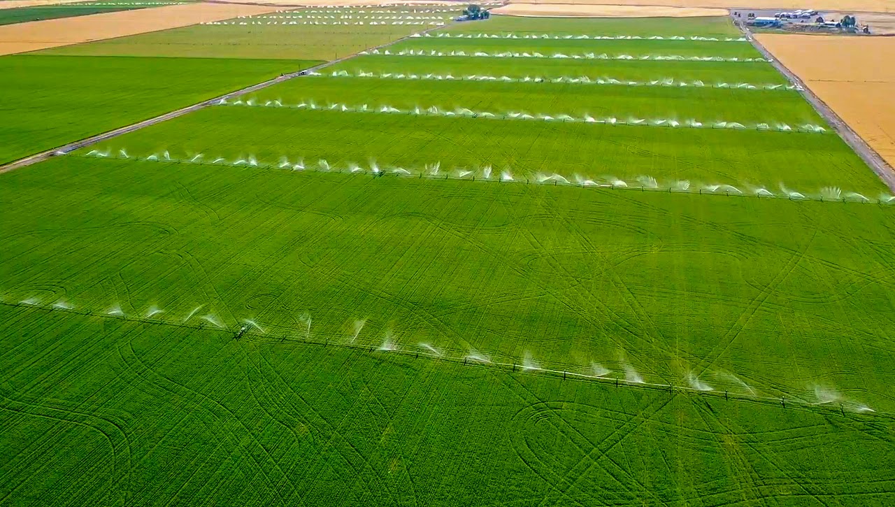 Hale Brothers Farm property picture 9 of 46