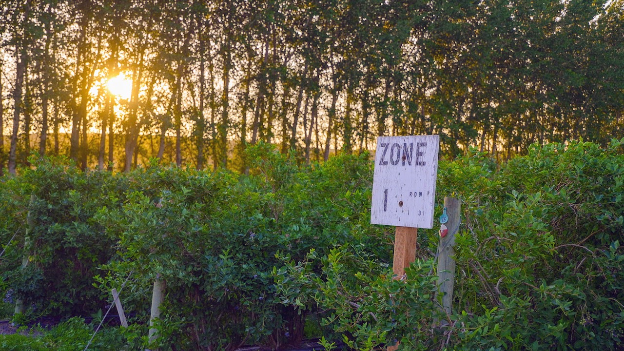 Hale Brothers Farm property picture 4 of 46