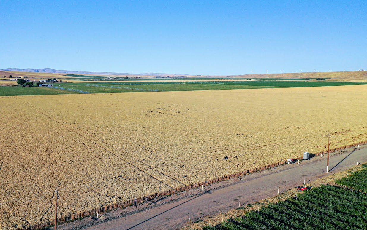 Hale Brothers Farm property picture 28 of 46