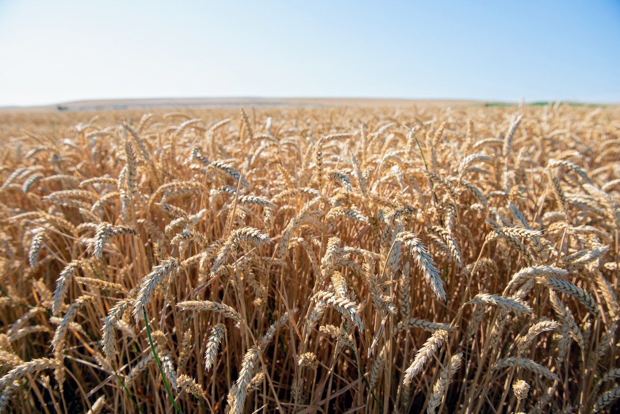 Hale Brothers Farm property picture 14 of 46