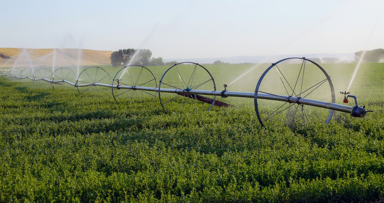 Hale Brothers Farm property picture 12 of 46