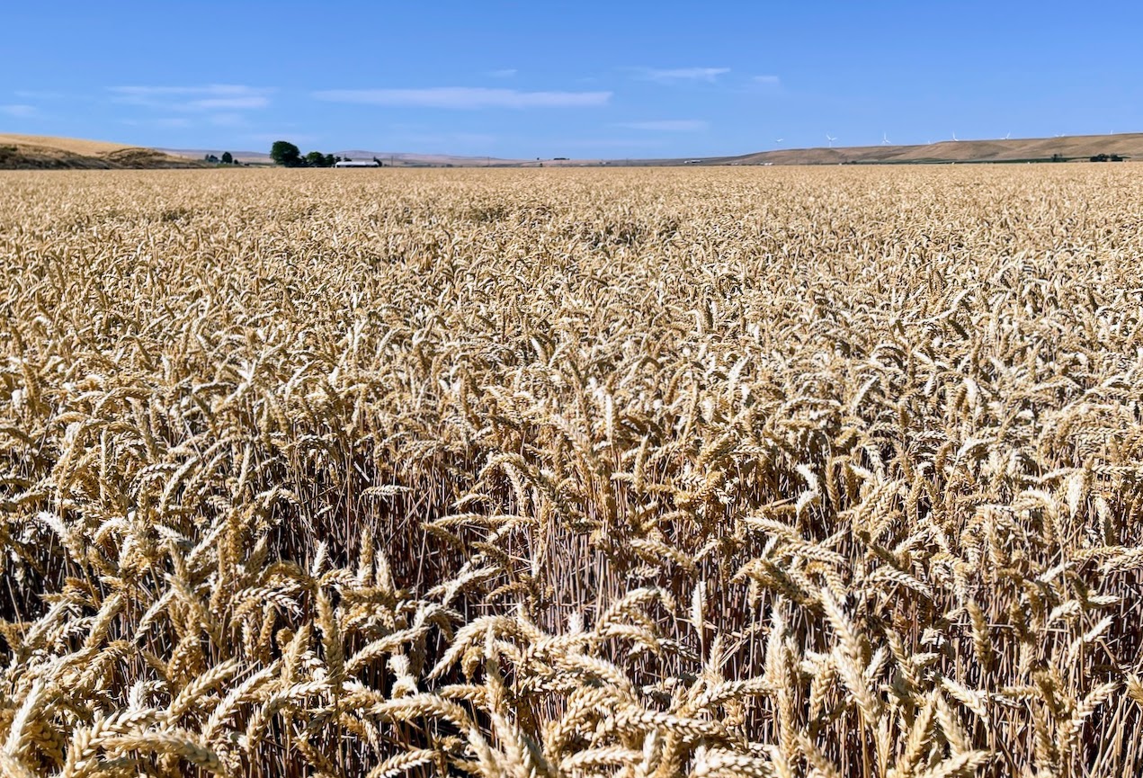 Hale Brothers Farm property picture 46 of 46