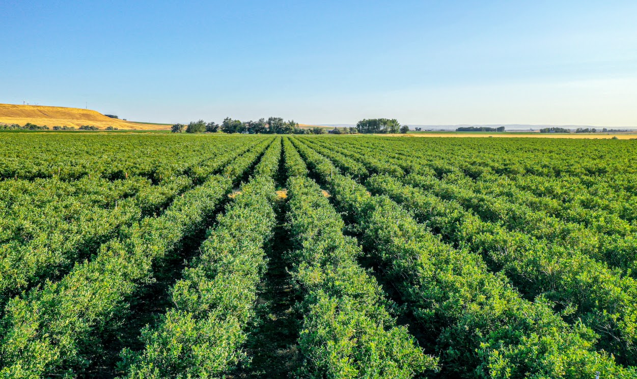 Hale Brothers Farm property picture 2 of 46