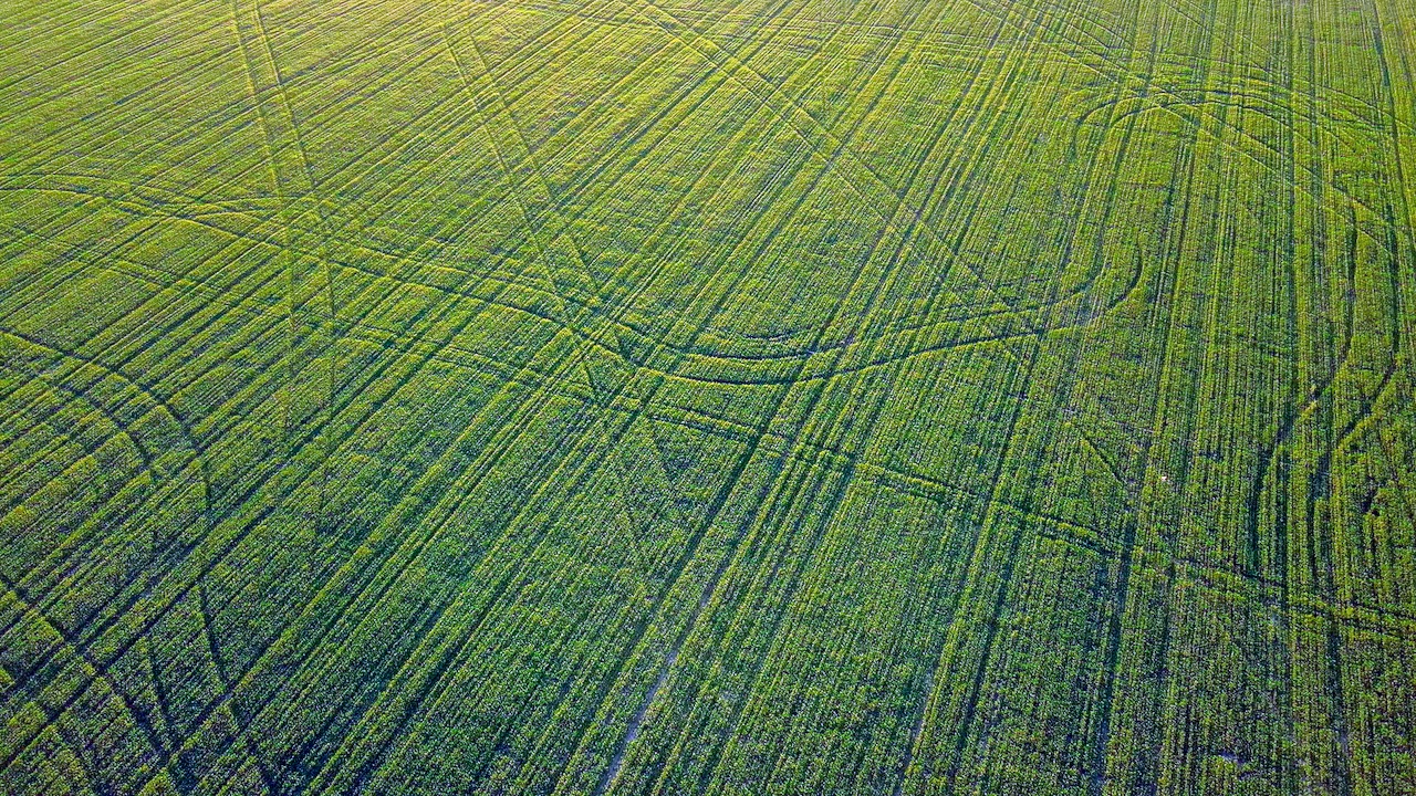 Hale Brothers Farm property picture 37 of 46