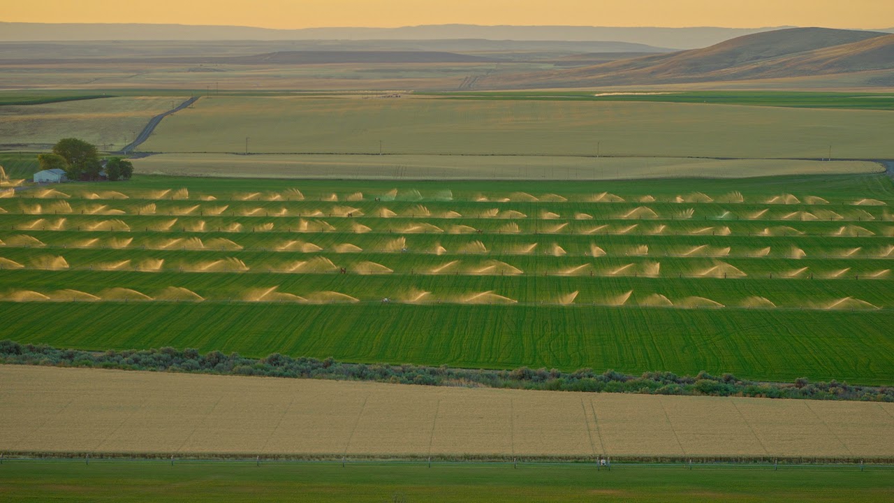 Hale Brothers Farm property picture 34 of 46