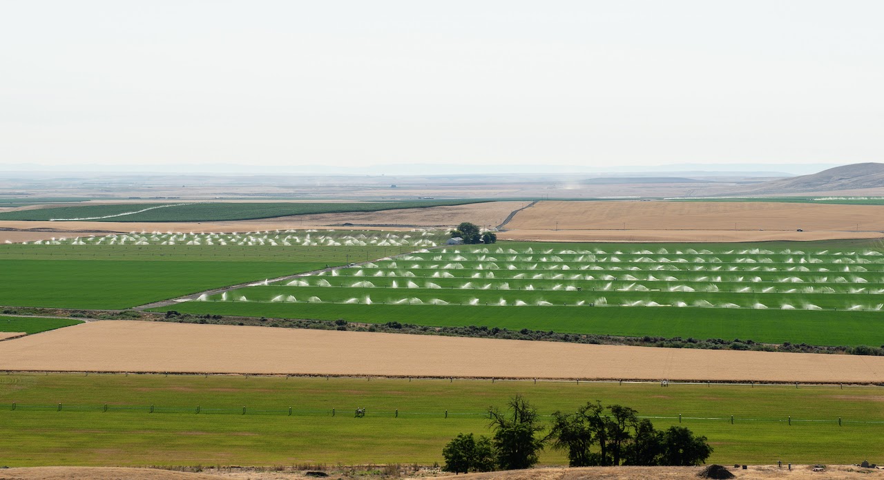 Hale Brothers Farm property picture 15 of 46