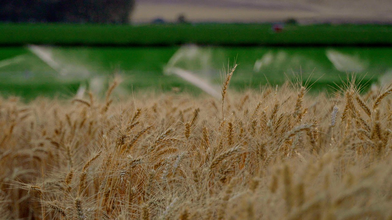 Hale Brothers Farm property picture 35 of 46