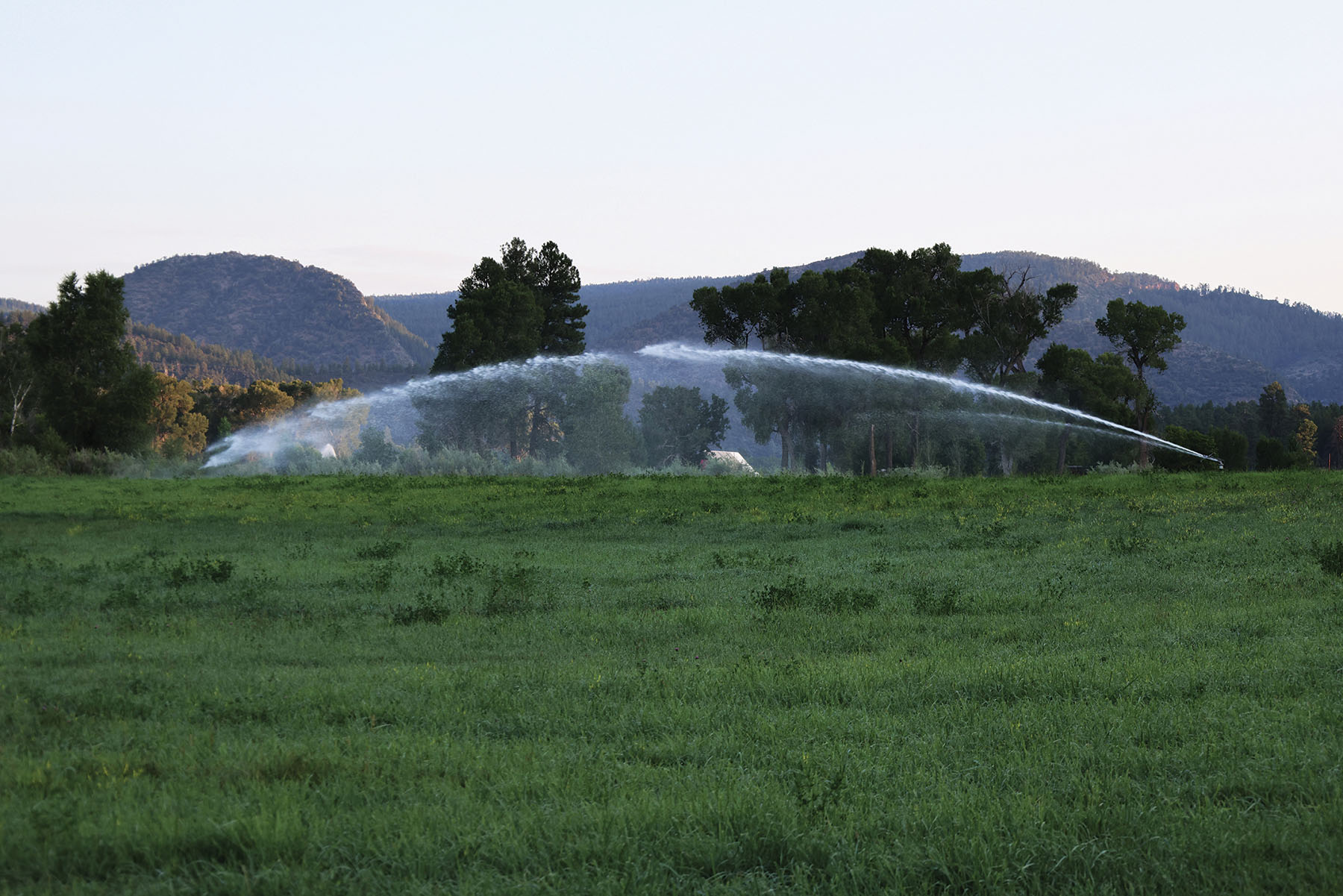 Rafter T Ranch property picture 113 of 136