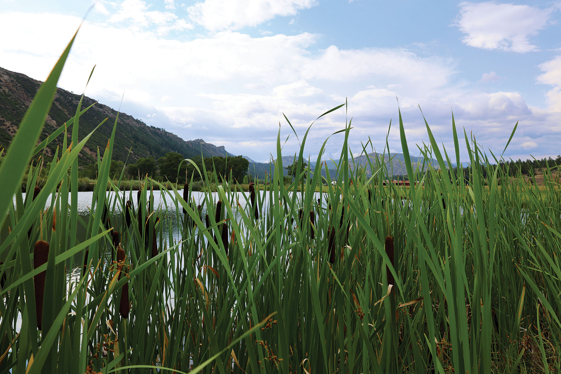 Rafter T Ranch property picture 94 of 136