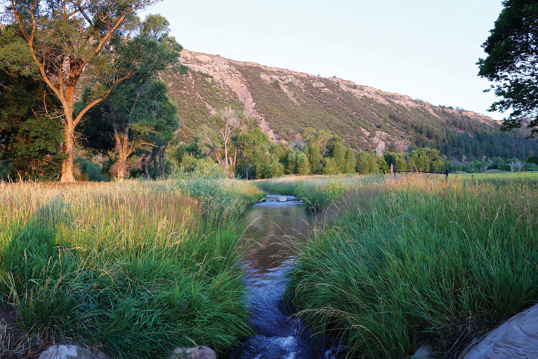 Rafter T Ranch property picture 103 of 136