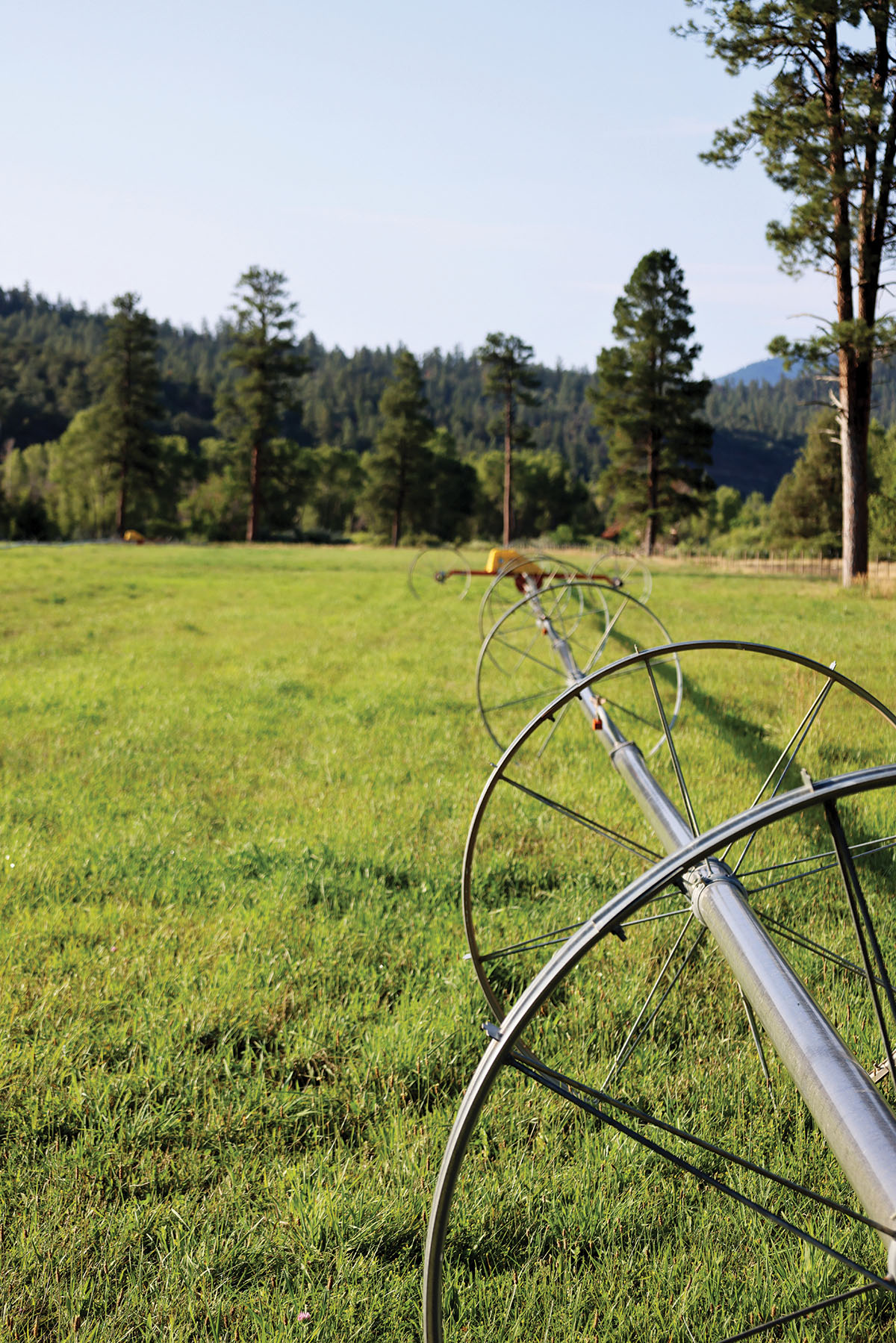 Rafter T Ranch property picture 127 of 136