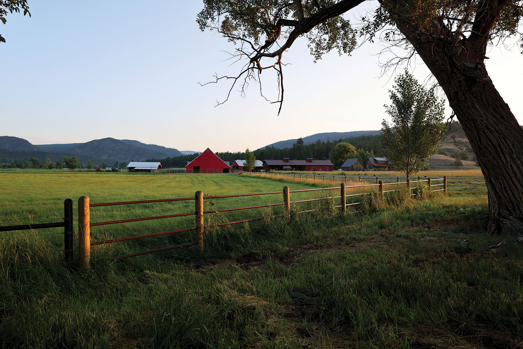 Rafter T Ranch property picture 106 of 136
