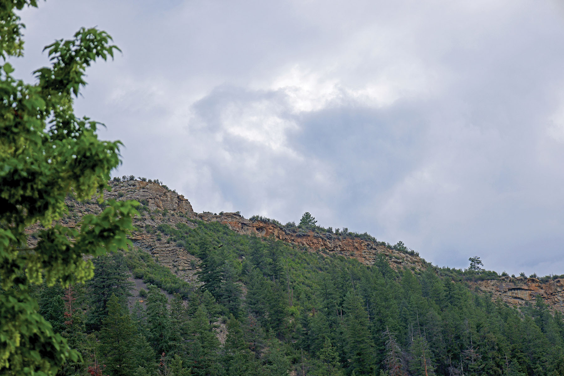 Rafter T Ranch property picture 99 of 136