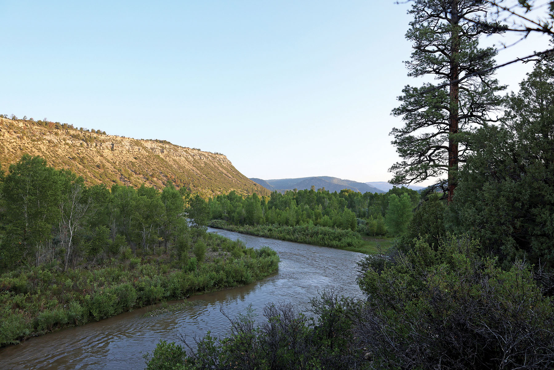 Rafter T Ranch property picture 114 of 136