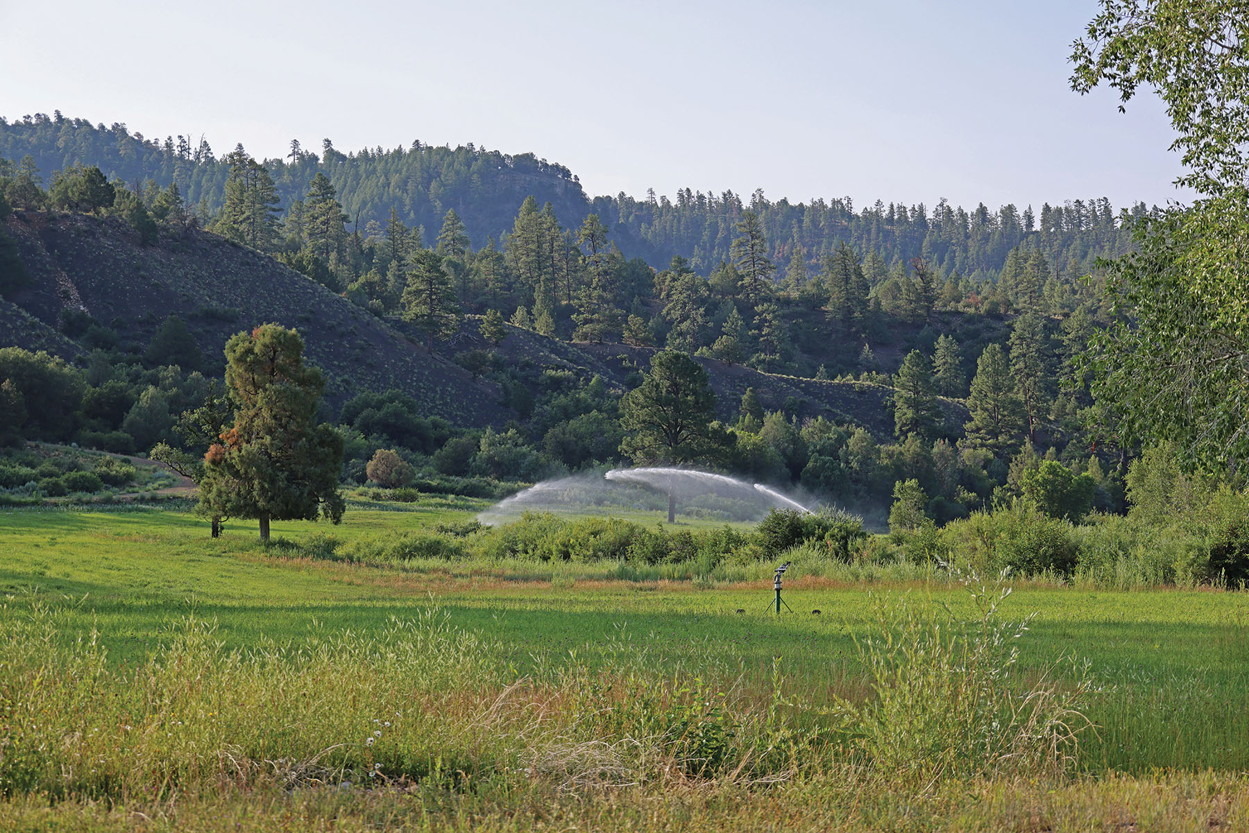Rafter T Ranch property picture 126 of 136