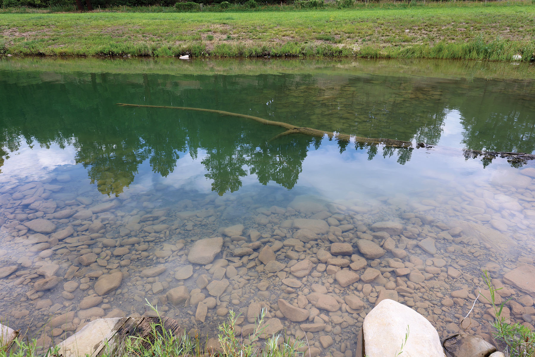Rafter T Ranch property picture 86 of 136