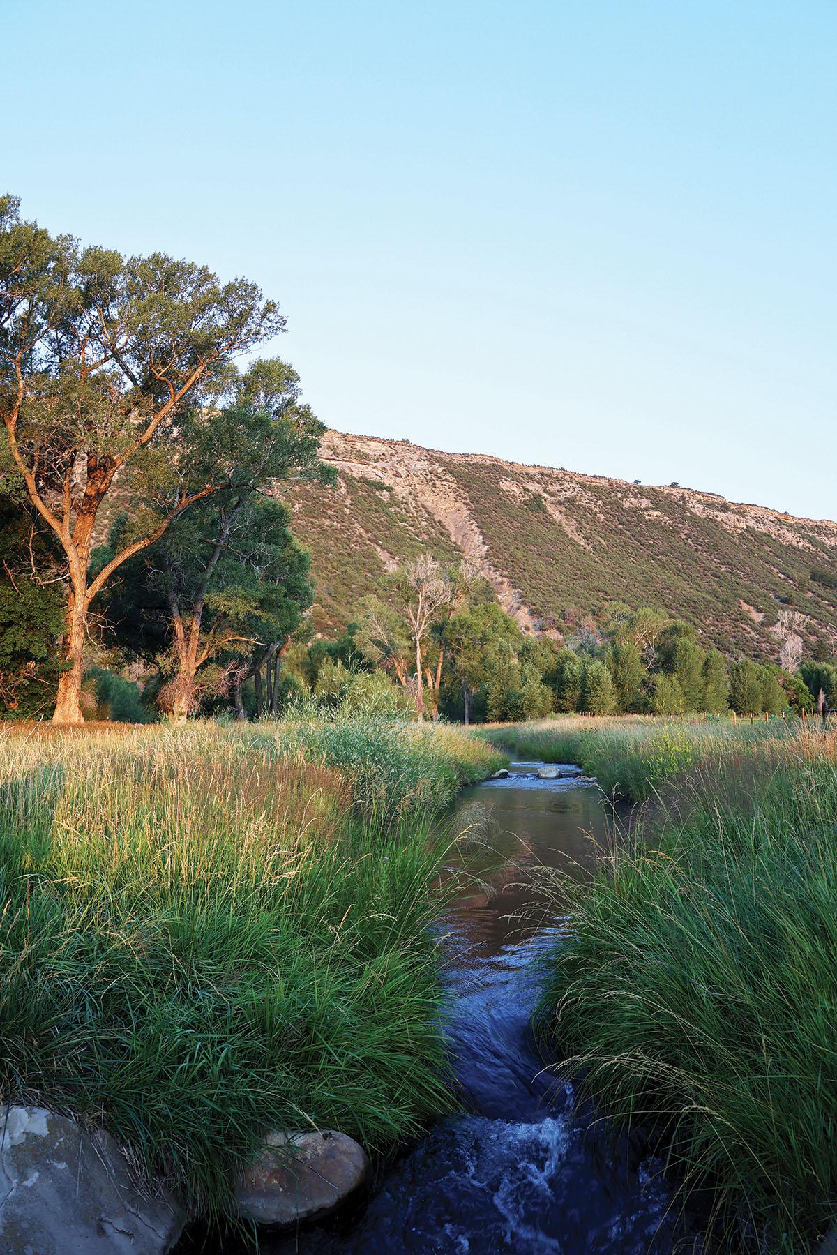 Rafter T Ranch property picture 104 of 136