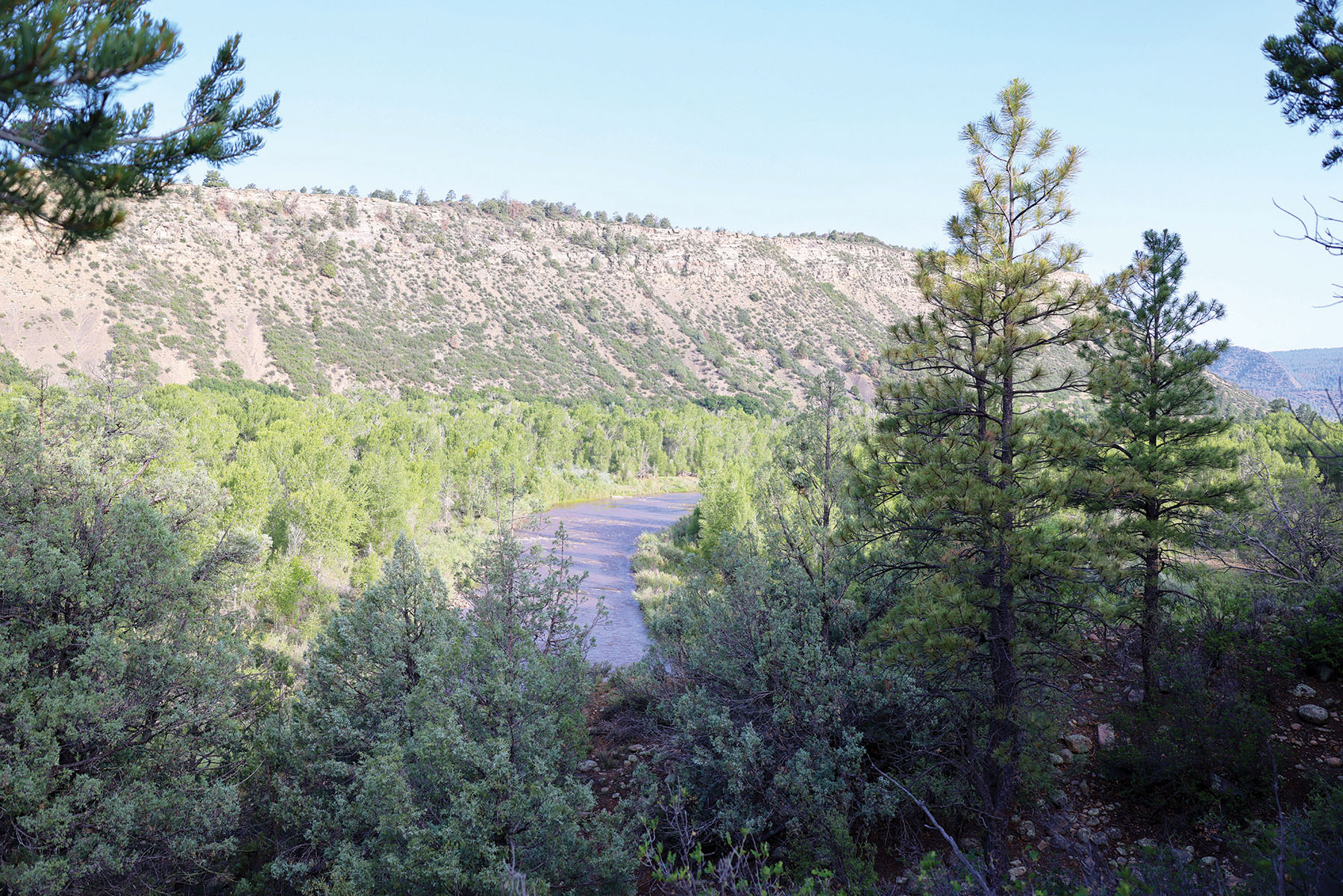 Rafter T Ranch property picture 135 of 136