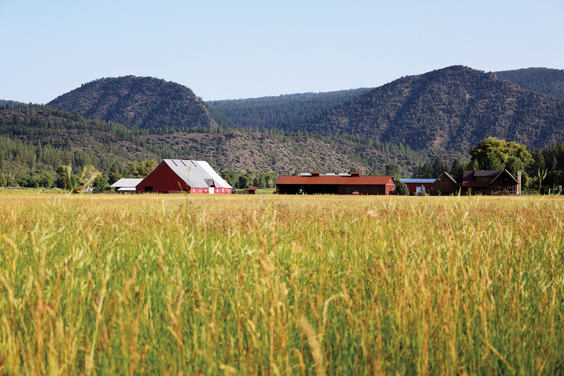 Rafter T Ranch property picture 107 of 136