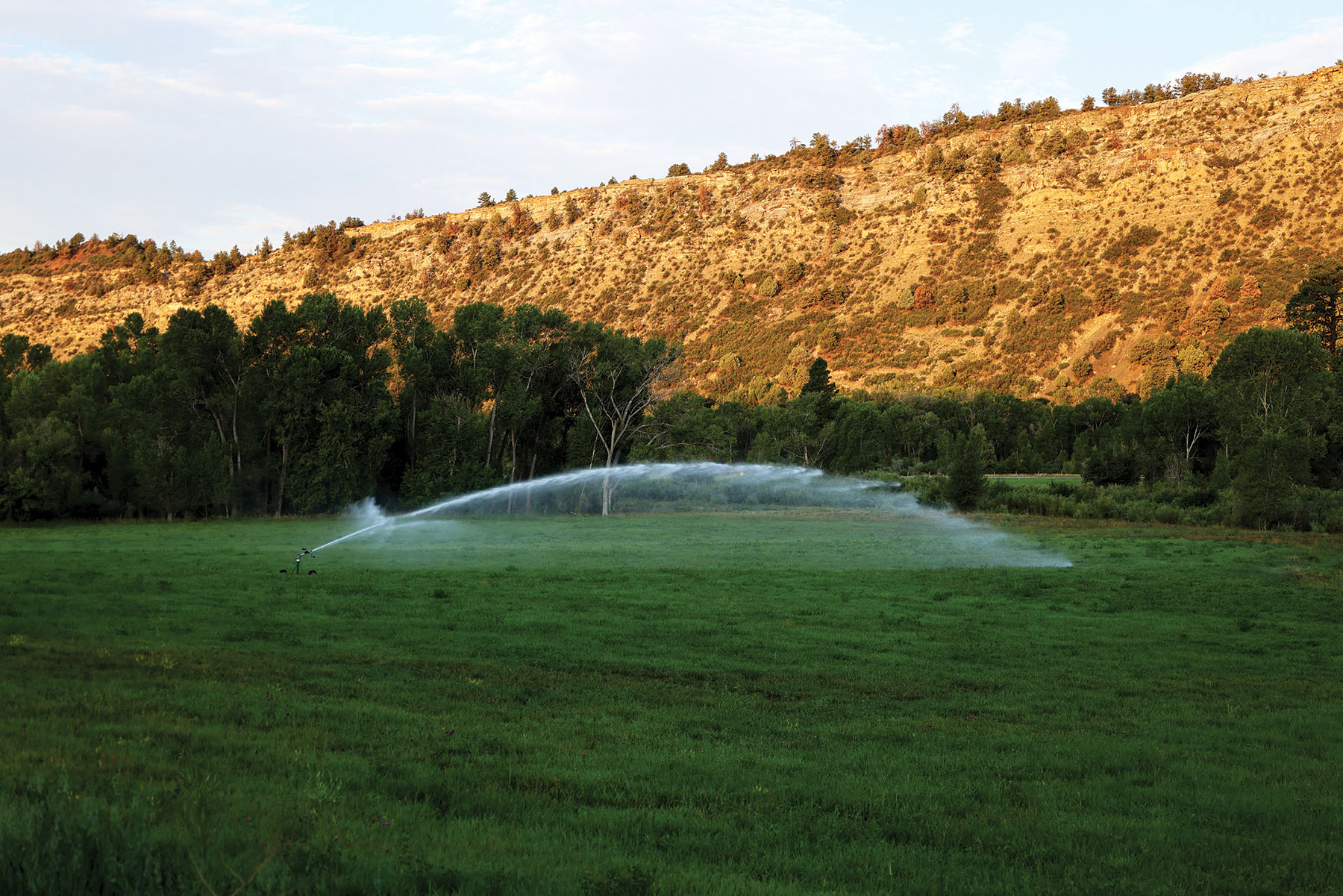 Rafter T Ranch property picture 112 of 136