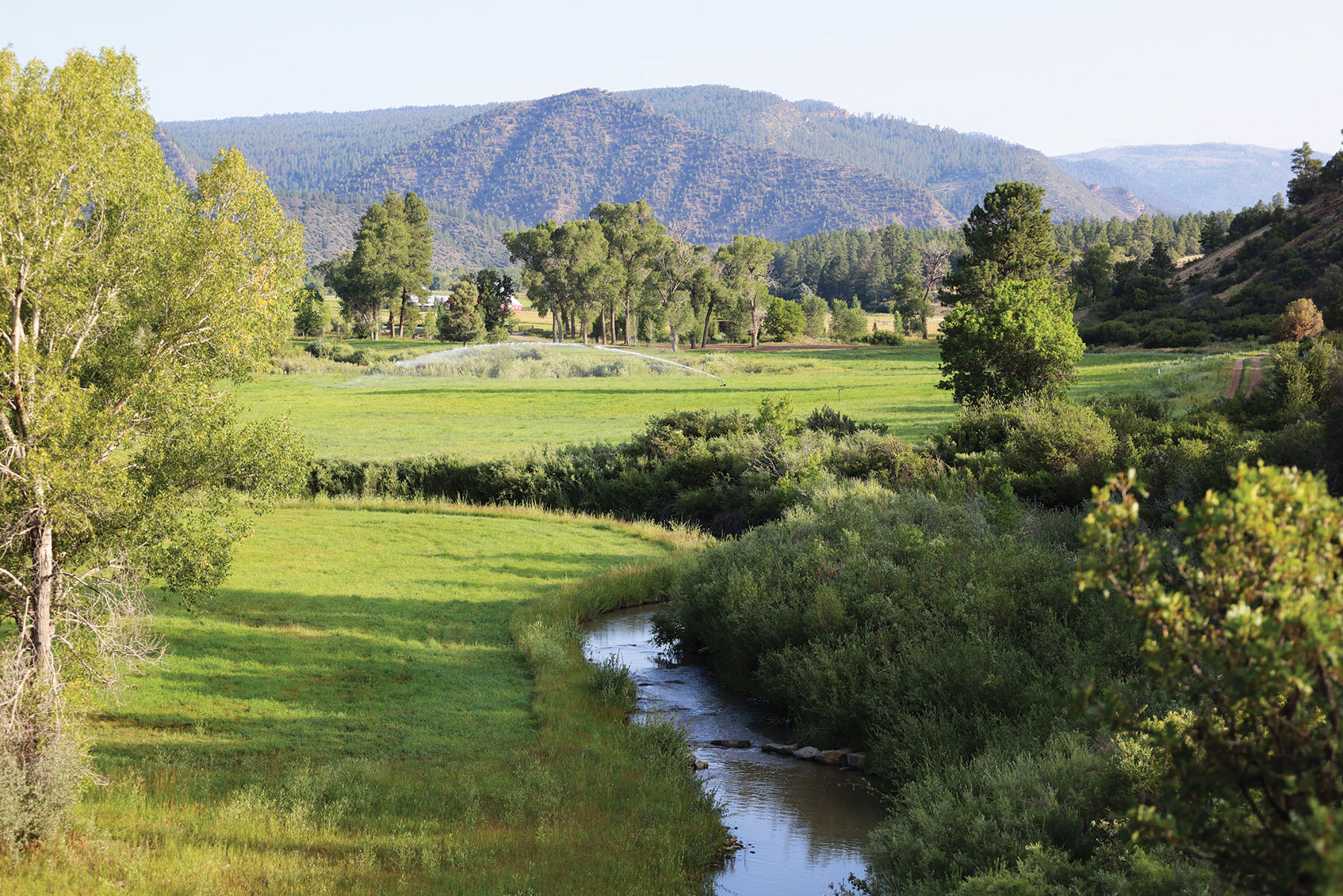 Rafter T Ranch property picture 121 of 136