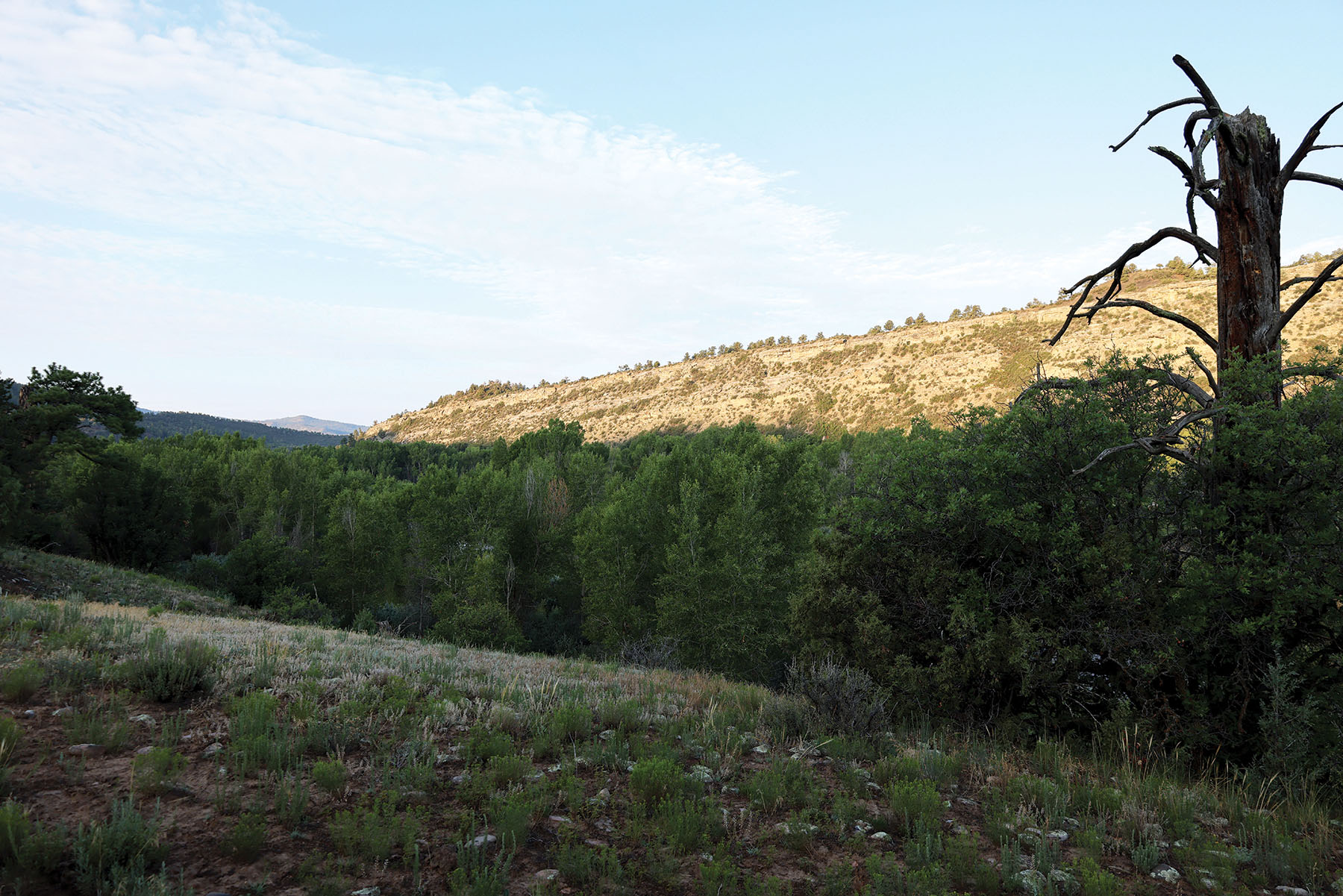 Rafter T Ranch property picture 117 of 136