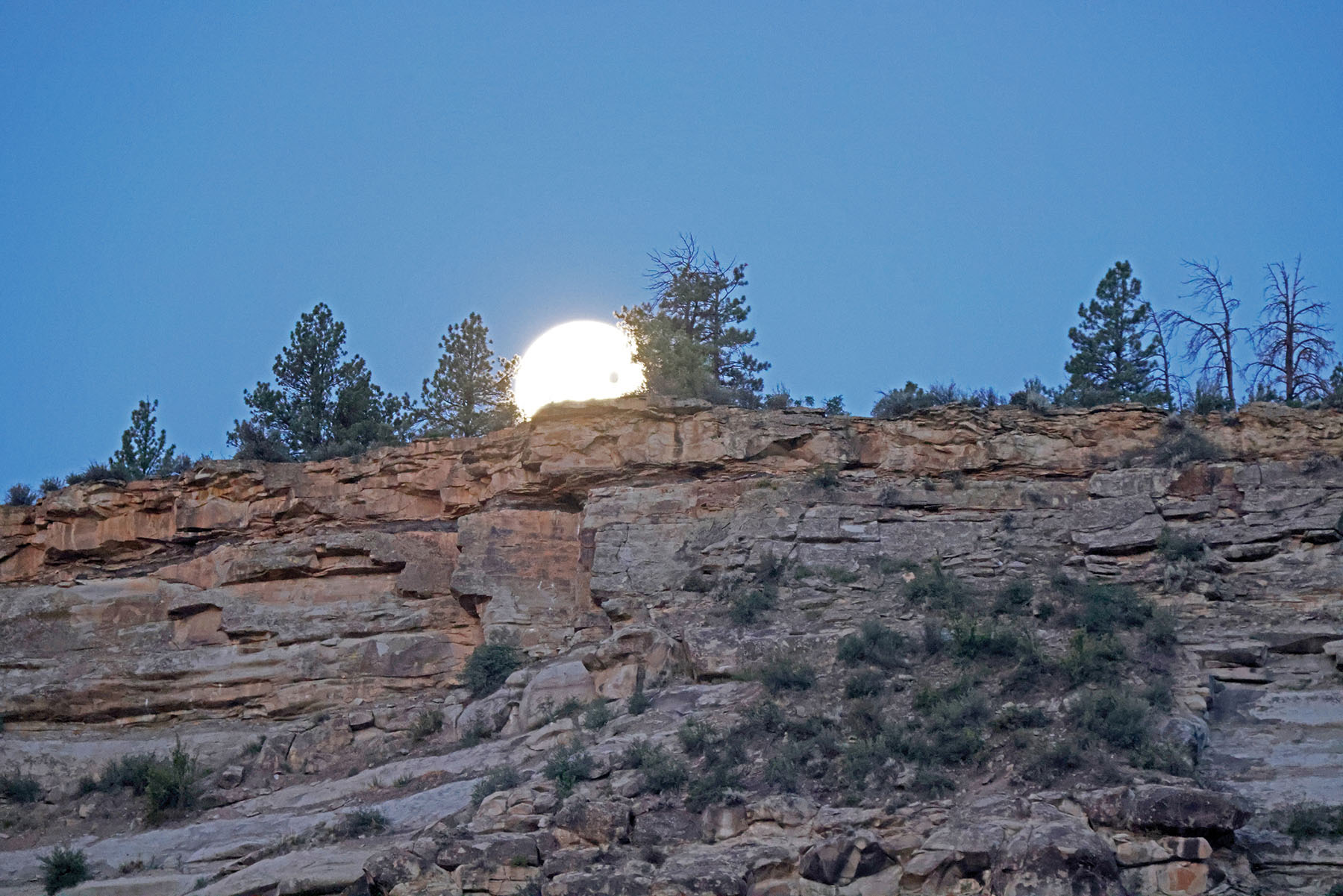 Rafter T Ranch property picture 102 of 136