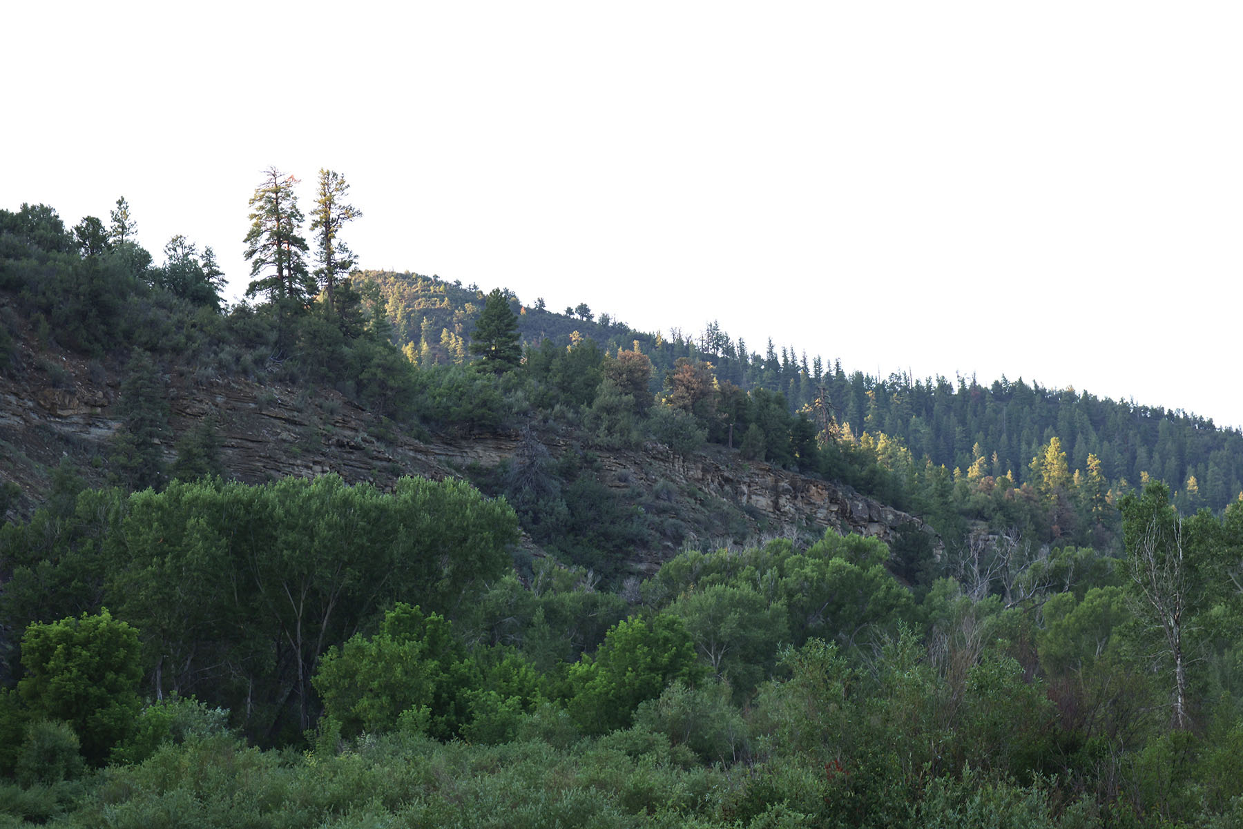 Rafter T Ranch property picture 119 of 136