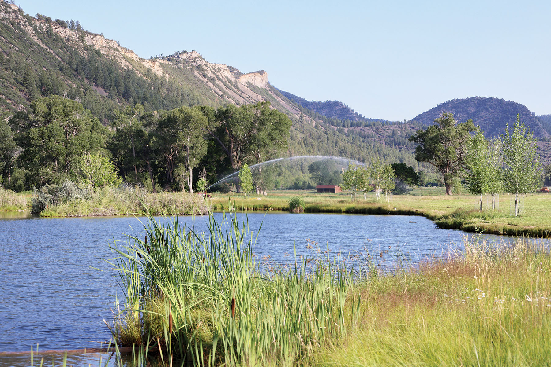 Rafter T Ranch property picture 125 of 136