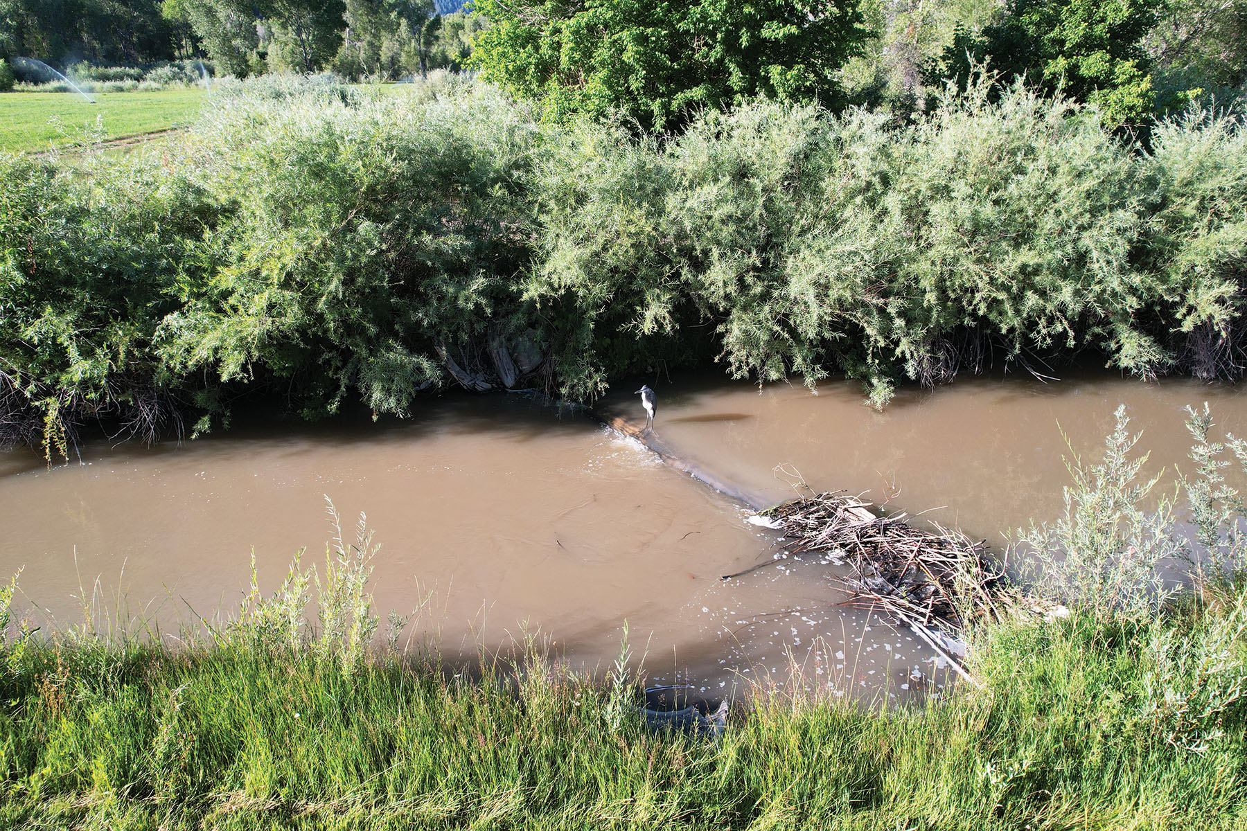 Rafter T Ranch property picture 132 of 136