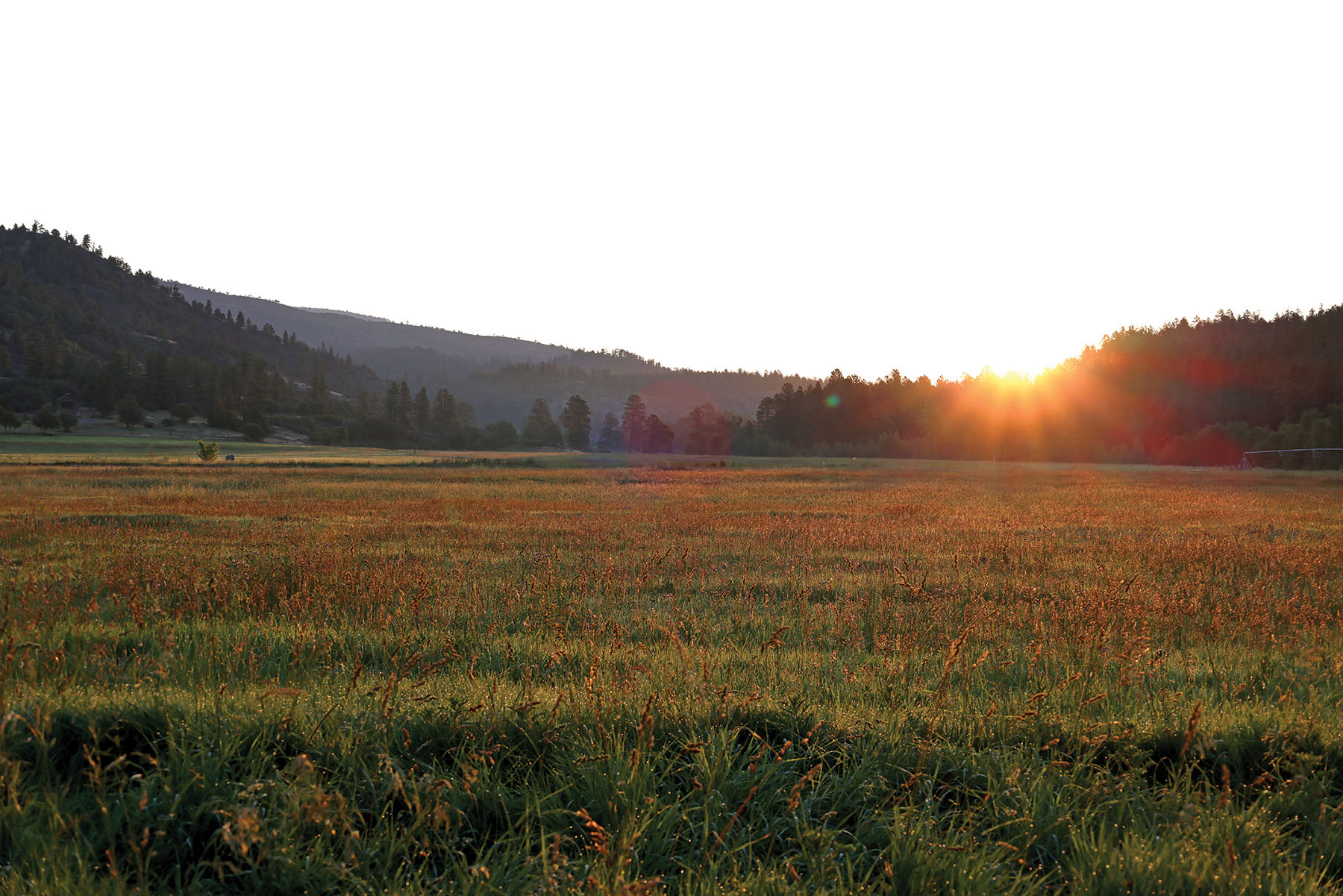 Rafter T Ranch property picture 109 of 136