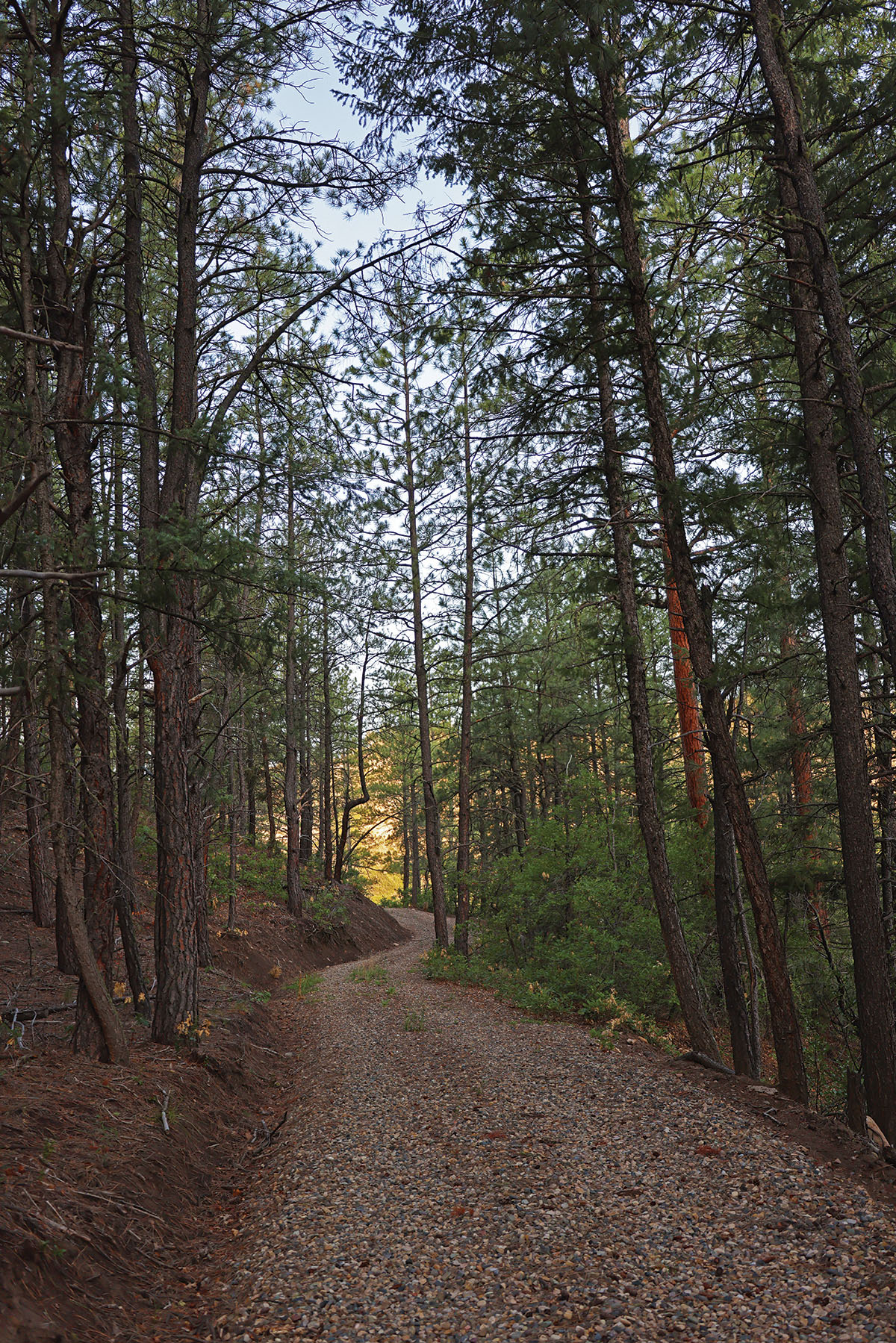 Rafter T Ranch property picture 118 of 136