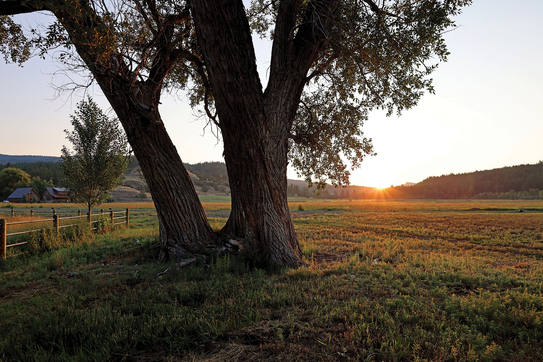 Rafter T Ranch property picture 105 of 136