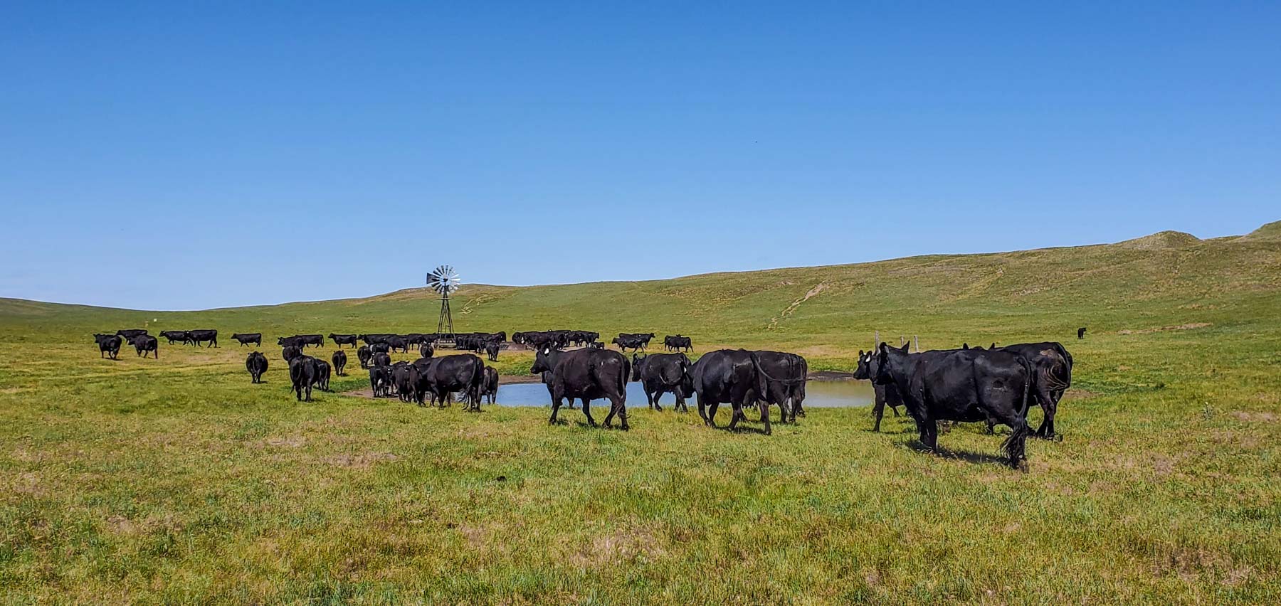 Dumbbell Ranch property picture 2 of 52