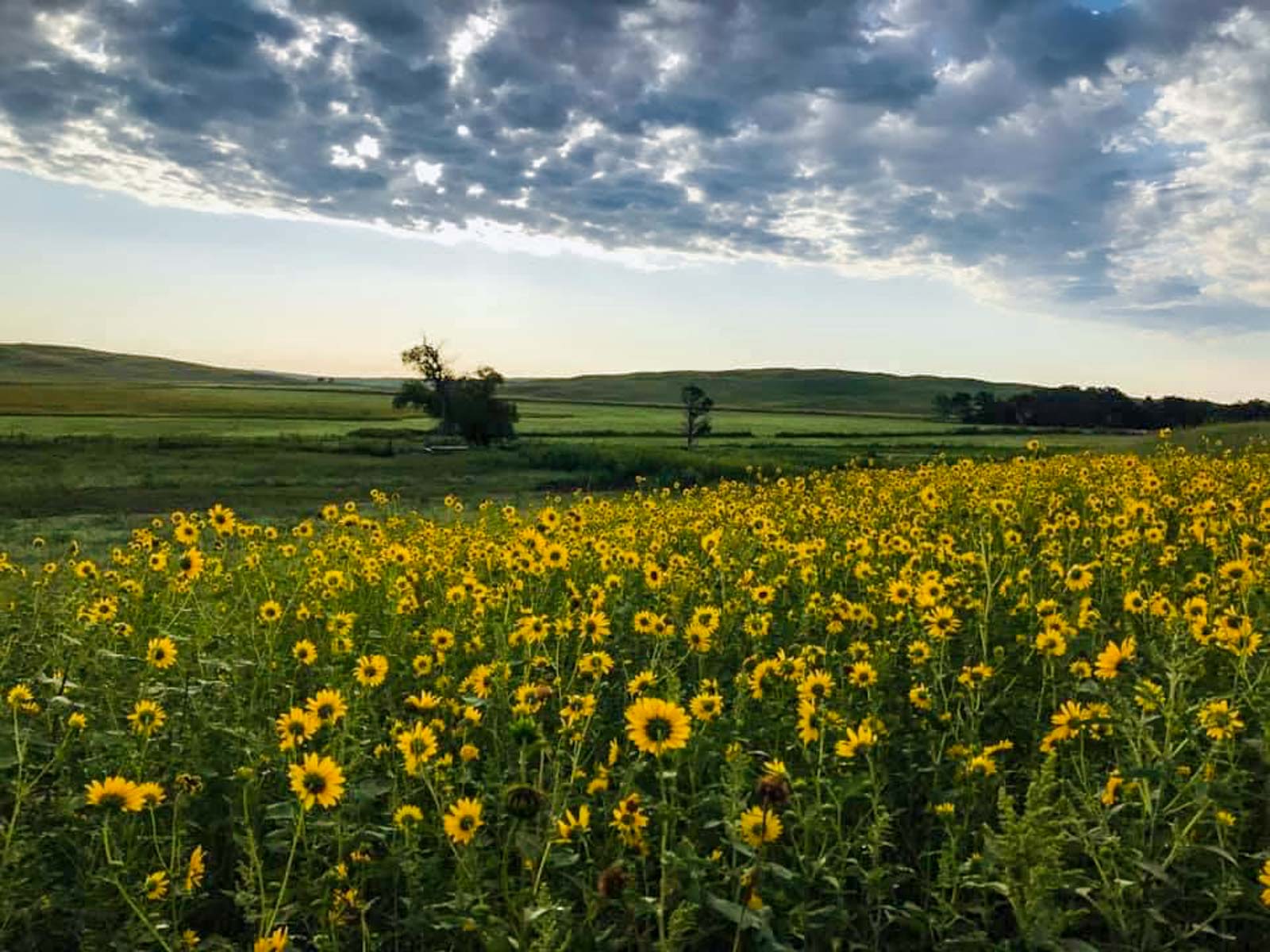 Dumbbell Ranch property picture 23 of 52