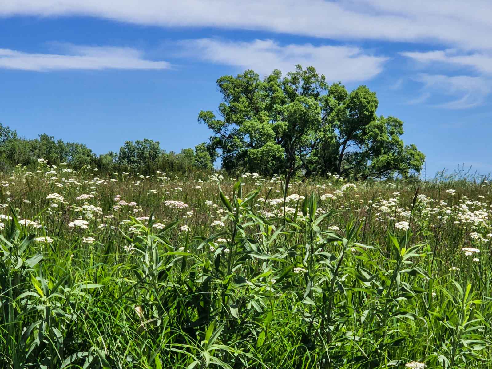 Dumbbell Ranch property picture 42 of 52