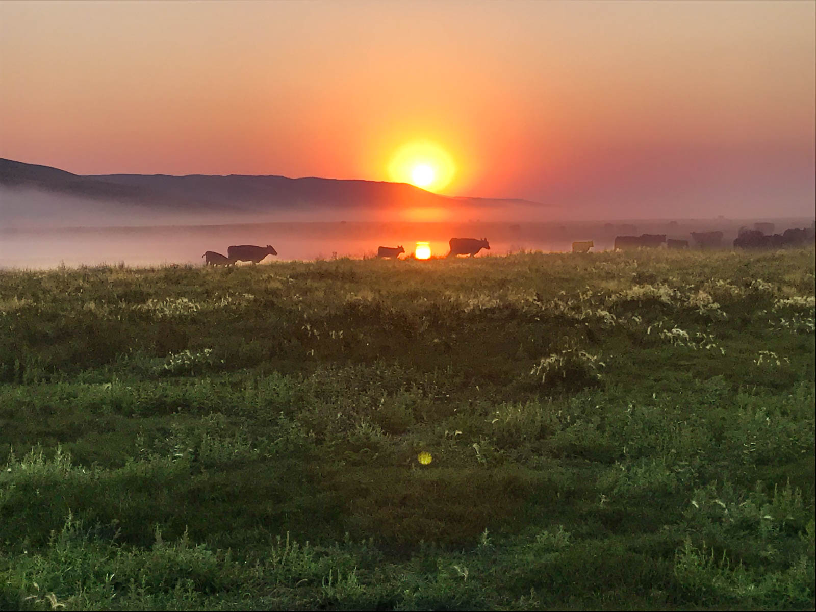 Dumbbell Ranch property picture 22 of 52